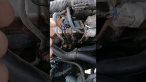 Прадо 120 дизель заводится и глохнет