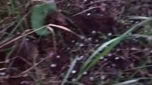 Чародинский район. Село Магар