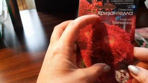 СЕМЕНА ПРИШЛИ, РАСКРОЕМ ПОСЫЛКУ ВМЕСТЕ, КАКИЕ СЕМЕНА ЦВЕТОВ ПОРА ЗАКАЗЫВАТЬ
