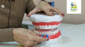Как пользоваться вестибулярными пластинками. Стандартный вариант