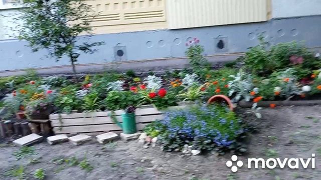 обзор цветов на клумбах