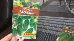 ТОП-3 самых хрустящих и вкусных сортов огурчиков! Обзор семян огурцов на 2022 год