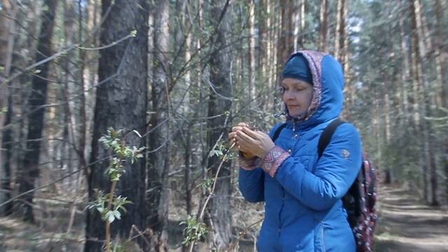 "Я просто хочу жить"  Философия, самопознание в песнях. Исполняет автор Светлана Авдеева