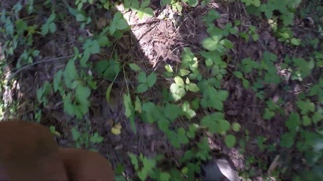 Джип тур На Шахту Смерти Байдаевская ! SURF смотреть онлайн