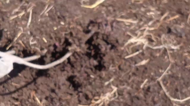 биогомус мефурушем барой дехконхо дар нохияй Абдурахмони джоми смотреть онлайн