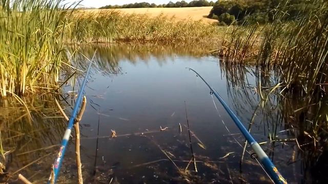 100 КАРАСЯНДРОВ ЗА УТРО. ОСЕННИЙ ЖОР КАРАСЯ. ЛОВЛЯ КАРАСЯ НА ПОПЛАВОЧНУЮ УДОЧКУ смотреть онлайн