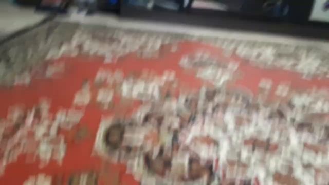 смотрим что делает кот смотреть онлайн