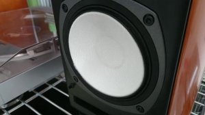 ONKYO D-212EX ウーファー テスト