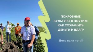 Покровные культуры в ноутил: как сохранить деньги и влагу | День поля no-till