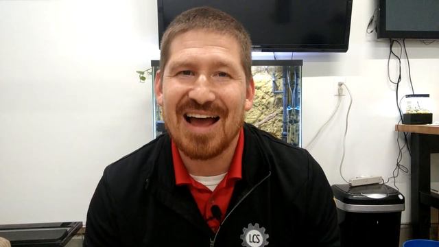 Planted Native Aquarium | Native Plants | Coontail | Lobelia Cardinalis | Vallisneria Americana смотреть онлайн