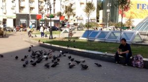 VLOG: Я жру с мусорки / Андрей Мартыненко