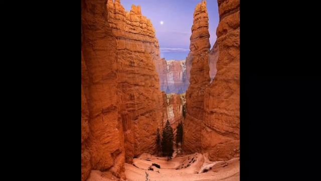 Светоносная Змея. Кундалини Земли. Гл.12 (Большой Каньон. США).Друнвало Мельхиседек. смотреть онлайн