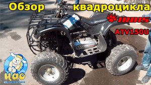 Квадроцикл Irbis ATV 150U, 2012 г., обзор и тест-драйв.