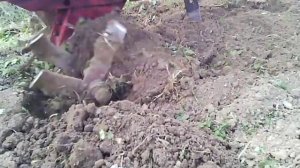 Мотоблок луч вспашка 2015 часть 5