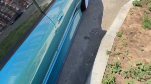 ЧАЙЗЕР 100 | ЦЕНА ЗА ЖИВОЙ ЭКЗЕМПЛЯР ? Скай на сплиттерах