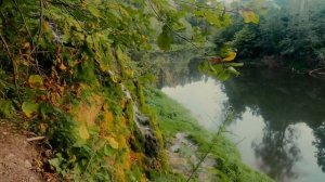 ВОДОПАДЫ подмосковья: долина семи ручьев. Маршрут выходного дня