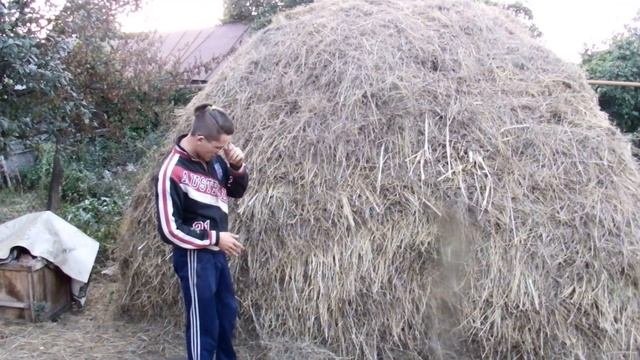 Какое сено лучше  Скирдование сена