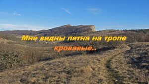 Мне видны пятна на тропе кровавые..