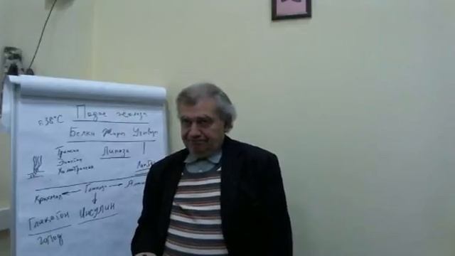 Лекция Алименко А.Н. «Открываем большие секреты» часть 3 Обязанности поджелудочной железы смотреть онлайн