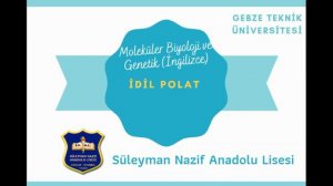 Süleyman Nazif Anadolu Lisesi'20