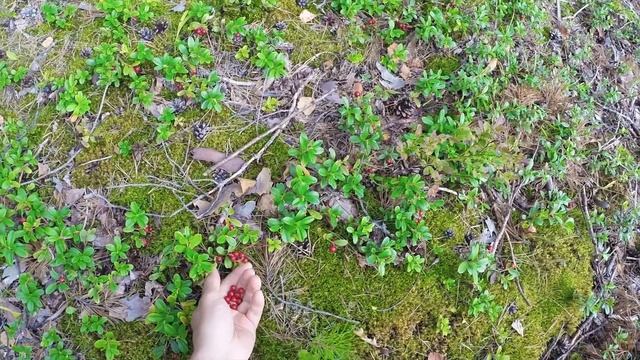 ЭТО НАСТОЯЩЕЕ РЫБАЦКОЕ СЧАСТЬЕ!!! Рыбалка на таёжной реке БОЛЬШАЯ КОКШАГА
