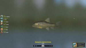 Храмуля короткотелая, 379 грамм, игра Трофейная рыбалка 2, река Янцзы, Переправа