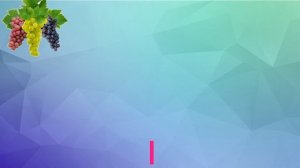 Полив винограда на моем участке