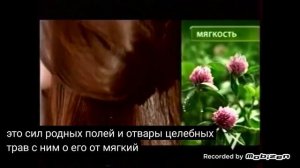 чистая линия фитотерапия шампунь шелковистый блеск клевер 2011 реклама