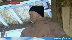 Соломенный дом