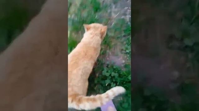 ✅Самое первое видео✅