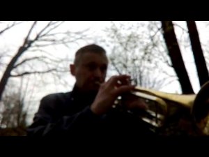 Соловьи поют- заливаются