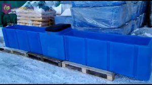 Поилка групповая с подогревом для КРС