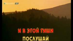 лебеди круг