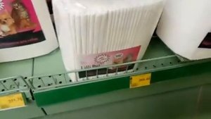 VLOG: покупки в зоомагазине, собаки, йоркширский терьер