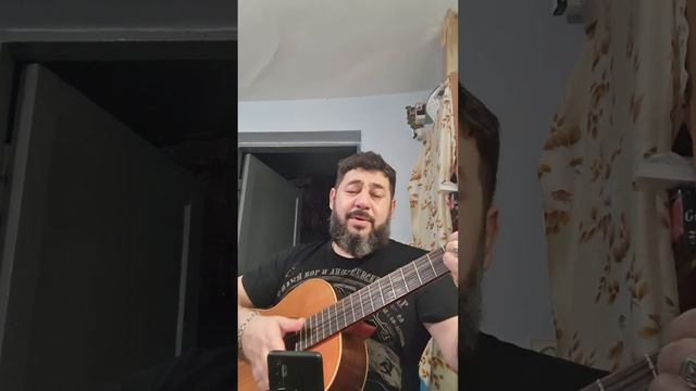 Лягушка Шоди смотреть онлайн