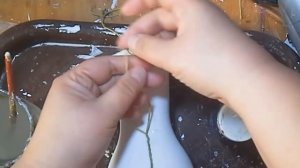 Ваза из стеклянной бутылки