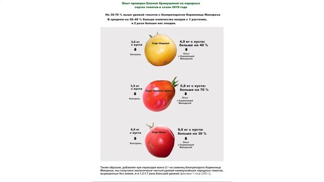 Опыт №3. Плачь от счастья земли с Кормилицей Микоризой