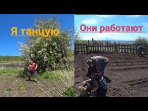 АБОРИГЕНКА. ЖИЗНЬ В ГЛУБИНКЕ. ПОСАДКА КАРТОФЕЛЯ ГОЛЛАНДСКИМ СПОСОБОМ.