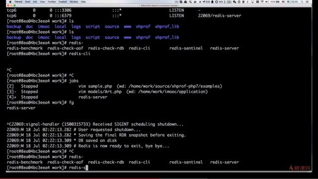 5 2 API接口性能 接口性能定位分析 смотреть онлайн