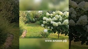 Красивые дачи: кусочек Сказки.