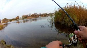 🎣 Отводной поводок. Окунь не в силах пропустить мимо!