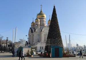 Новогодняя ёлка на площади. Владивосток