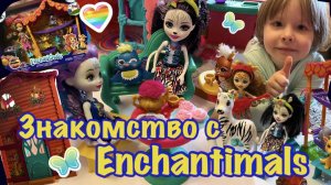 Знакомство с Enchantimals