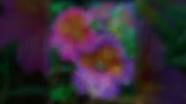 Красивые картинки смотреть онлайн