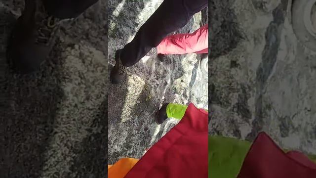 Неадекватно поведение грузинов смотреть онлайн