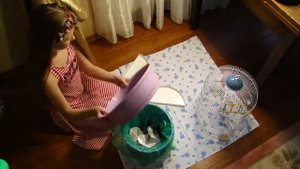 Уборка у попугая! - Волнистый попугай