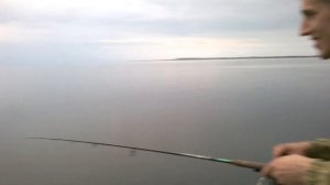 Рыбалка в Голино р. Малая Шелонь! Ловля с лодки.. Спиннинг, удочка. Рыбалка с Денчиком.