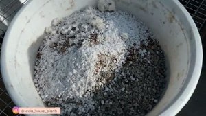 Грунт для Кактусов и Хавортий.