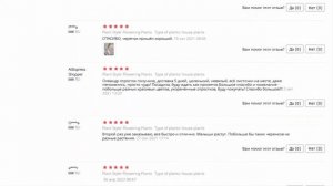 Олеандр махровый розовый черенок