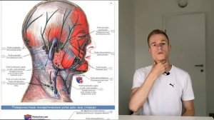 Лимфодренаж шеи